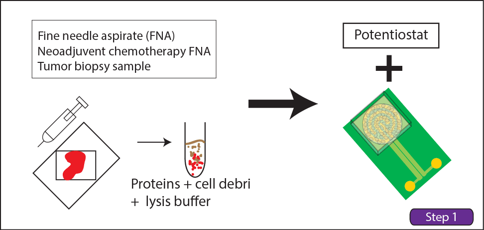 Clinical sample preparation workflow leading to nanowell sensor readout